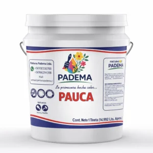 Pauca Tineta Económica